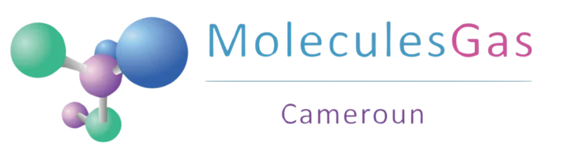 Logo-MoleculesGas-Cameroun
